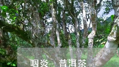 咽炎 普洱茶/2023042989886